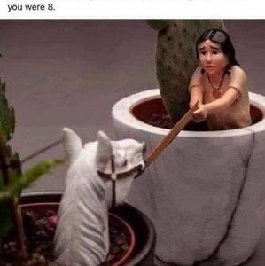 Meet your Posher, Miranda